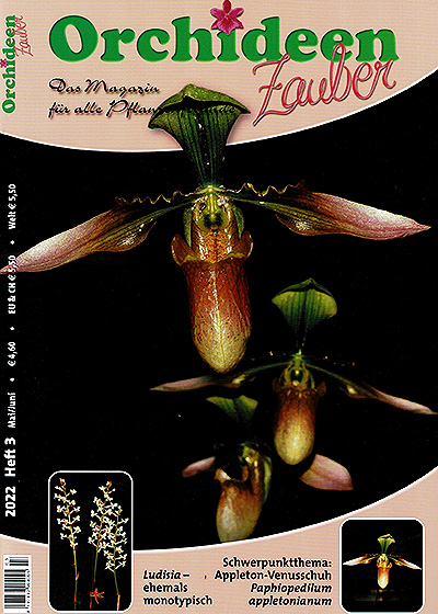 OrchideenZauber Heft 3/2022